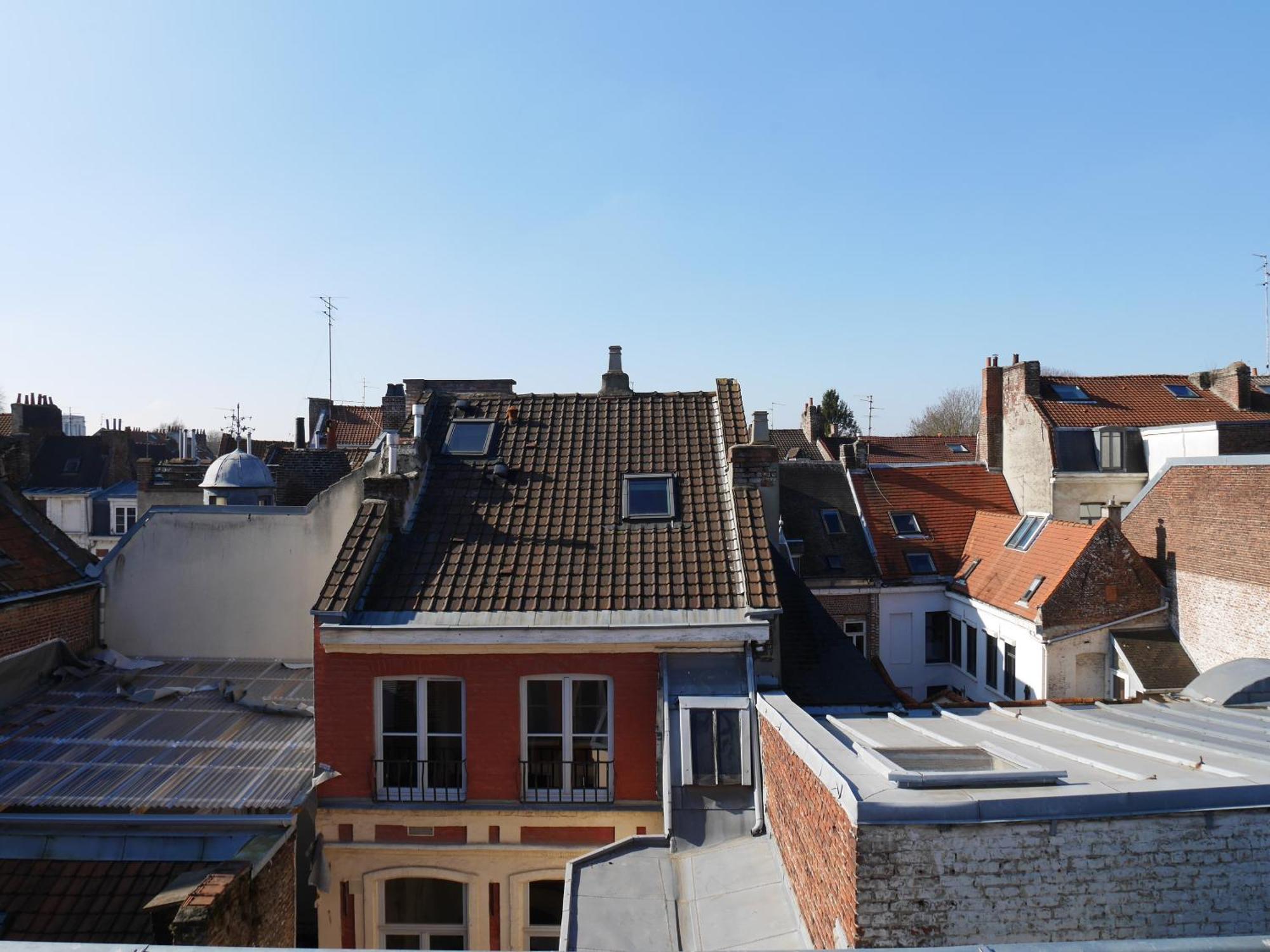 Au Chat Qui Dort Lille - Archives 3 Eksteriør billede